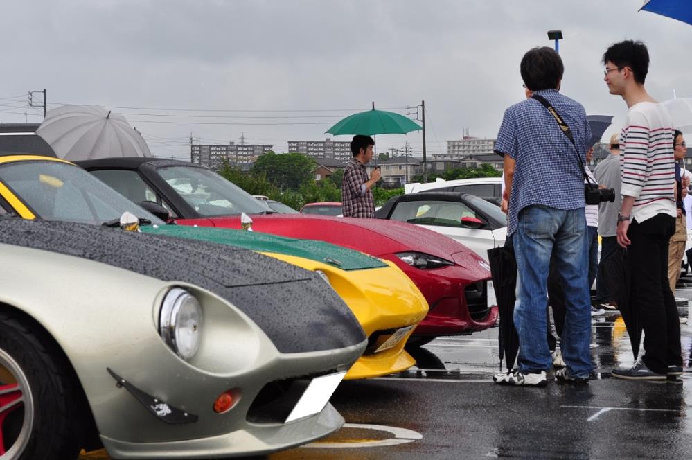 1506shinmaikosinap (30).JPG